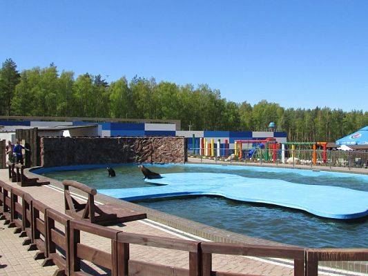 Grafika #69: 06.05.2016 Wycieczka do Sea Parku w Sarbsku cz.II