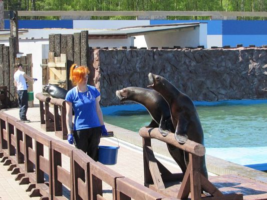 Grafika #73: 06.05.2016 Wycieczka do Sea Parku w Sarbsku cz.II