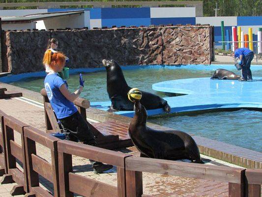 Grafika #75: 06.05.2016 Wycieczka do Sea Parku w Sarbsku cz.II