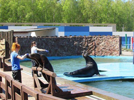 Grafika #76: 06.05.2016 Wycieczka do Sea Parku w Sarbsku cz.II