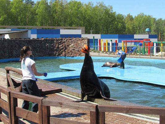 Grafika #78: 06.05.2016 Wycieczka do Sea Parku w Sarbsku cz.II