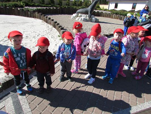 Grafika #11: 06.05.2016 Wycieczka do Sea Parku w Sarbsku cz.I