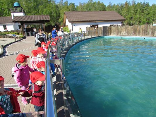 Grafika #13: 06.05.2016 Wycieczka do Sea Parku w Sarbsku cz.I
