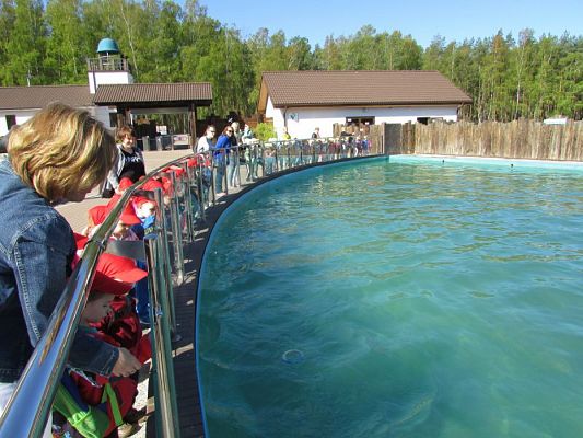 Grafika #14: 06.05.2016 Wycieczka do Sea Parku w Sarbsku cz.I