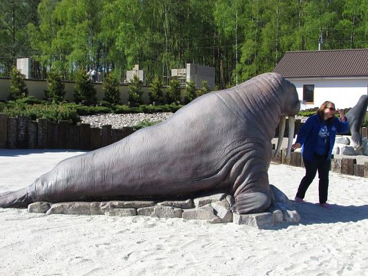 Grafika #18: 06.05.2016 Wycieczka do Sea Parku w Sarbsku cz.I