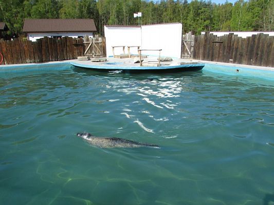 Grafika #22: 06.05.2016 Wycieczka do Sea Parku w Sarbsku cz.I