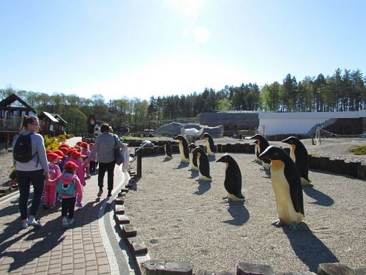 Grafika #31: 06.05.2016 Wycieczka do Sea Parku w Sarbsku cz.I