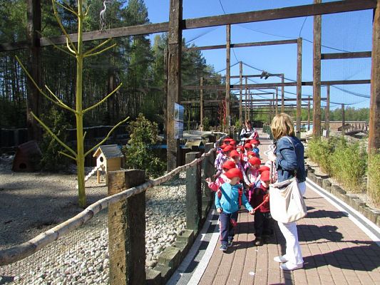 Grafika #37: 06.05.2016 Wycieczka do Sea Parku w Sarbsku cz.I