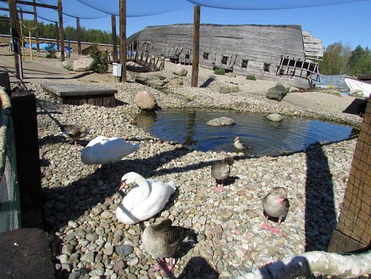 Grafika #38: 06.05.2016 Wycieczka do Sea Parku w Sarbsku cz.I