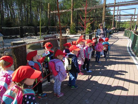 Grafika #39: 06.05.2016 Wycieczka do Sea Parku w Sarbsku cz.I