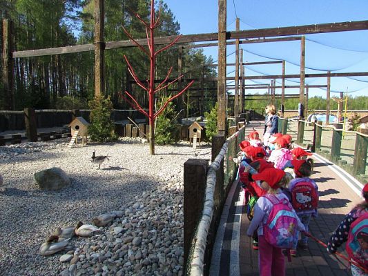 Grafika #40: 06.05.2016 Wycieczka do Sea Parku w Sarbsku cz.I