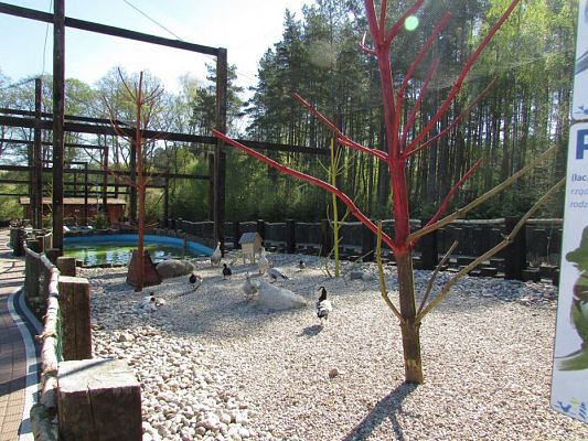 Grafika #41: 06.05.2016 Wycieczka do Sea Parku w Sarbsku cz.I