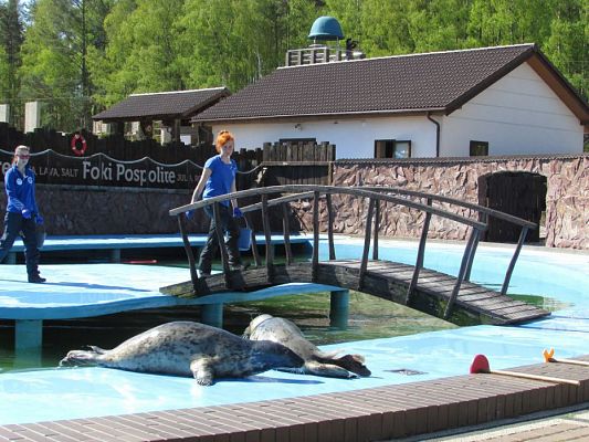 Grafika #48: 06.05.2016 Wycieczka do Sea Parku w Sarbsku cz.I