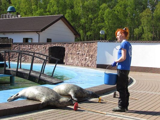 Grafika #52: 06.05.2016 Wycieczka do Sea Parku w Sarbsku cz.I