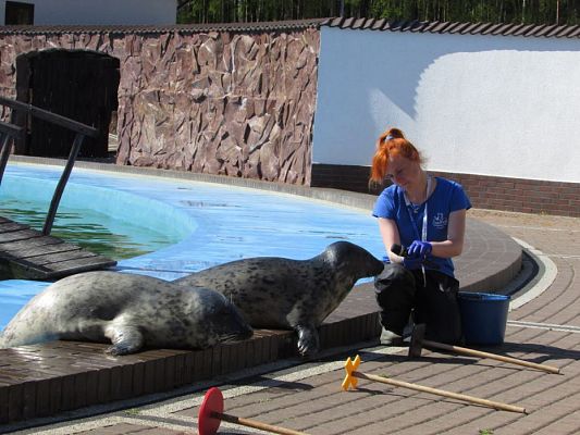 Grafika #53: 06.05.2016 Wycieczka do Sea Parku w Sarbsku cz.I