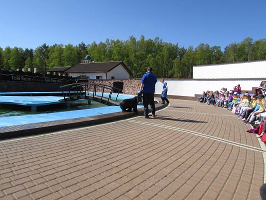 Grafika #54: 06.05.2016 Wycieczka do Sea Parku w Sarbsku cz.I