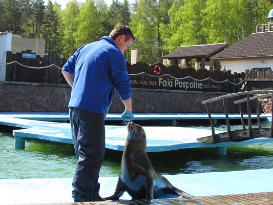 Grafika #55: 06.05.2016 Wycieczka do Sea Parku w Sarbsku cz.I