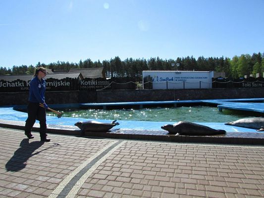 Grafika #56: 06.05.2016 Wycieczka do Sea Parku w Sarbsku cz.I