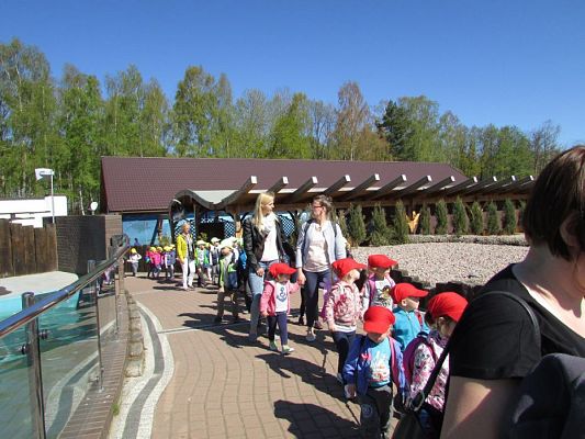 Grafika #58: 06.05.2016 Wycieczka do Sea Parku w Sarbsku cz.I