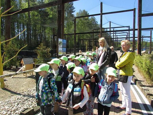 Grafika #87: 06.05.2016 Wycieczka do Sea Parku w Sarbsku cz.I