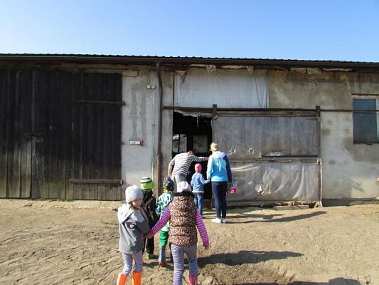 Grafika #7: 08.04.2016 Wycieczka do gospodarstwa rolnego dziadka Zosi