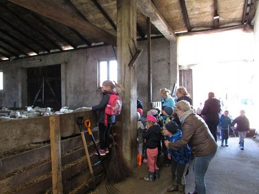 Grafika #9: 08.04.2016 Wycieczka do gospodarstwa rolnego dziadka Zosi