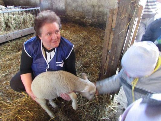 Grafika #11: 08.04.2016 Wycieczka do gospodarstwa rolnego dziadka Zosi