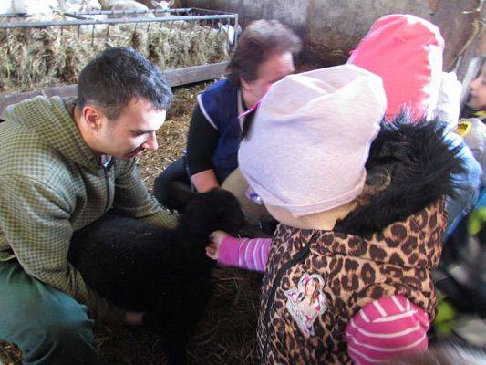 Grafika #12: 08.04.2016 Wycieczka do gospodarstwa rolnego dziadka Zosi