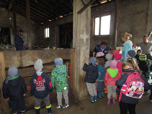 Grafika #13: 08.04.2016 Wycieczka do gospodarstwa rolnego dziadka Zosi