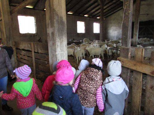 Grafika #16: 08.04.2016 Wycieczka do gospodarstwa rolnego dziadka Zosi