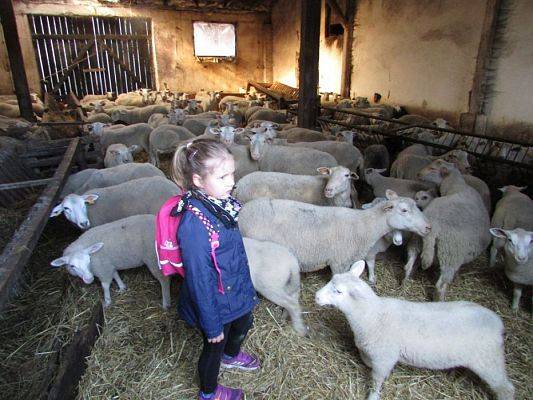 Grafika #19: 08.04.2016 Wycieczka do gospodarstwa rolnego dziadka Zosi