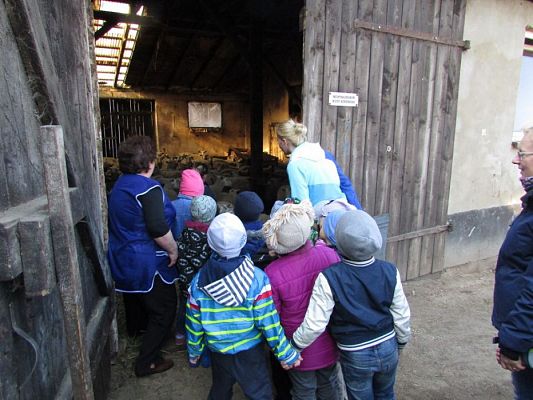 Grafika #20: 08.04.2016 Wycieczka do gospodarstwa rolnego dziadka Zosi