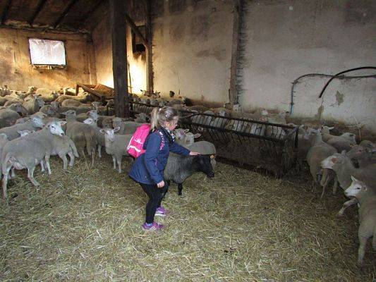 Grafika #21: 08.04.2016 Wycieczka do gospodarstwa rolnego dziadka Zosi