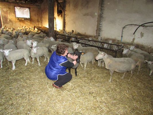 Grafika #22: 08.04.2016 Wycieczka do gospodarstwa rolnego dziadka Zosi