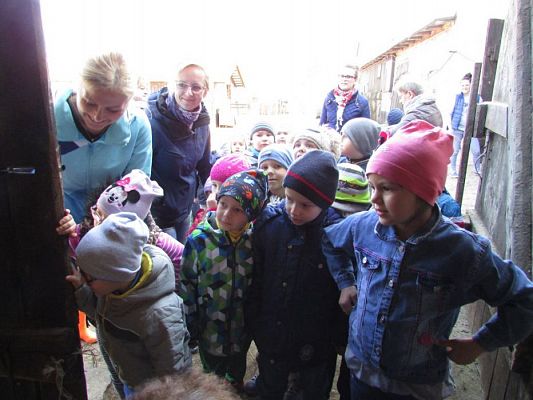 Grafika #23: 08.04.2016 Wycieczka do gospodarstwa rolnego dziadka Zosi