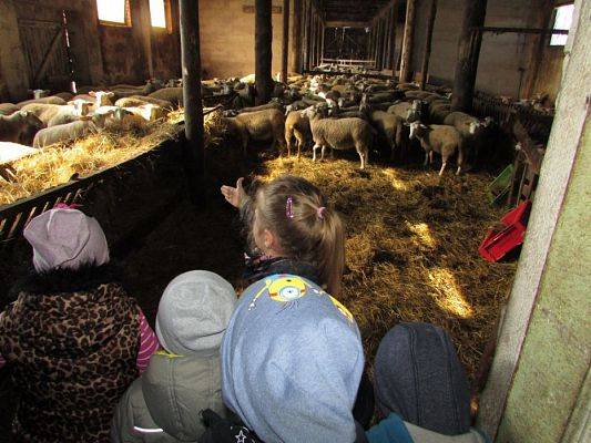 Grafika #34: 08.04.2016 Wycieczka do gospodarstwa rolnego dziadka Zosi