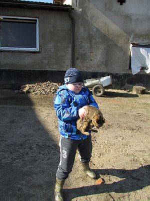 Grafika #36: 08.04.2016 Wycieczka do gospodarstwa rolnego dziadka Zosi