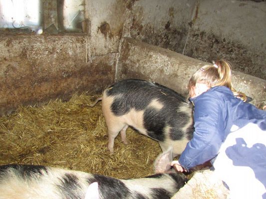 Grafika #39: 08.04.2016 Wycieczka do gospodarstwa rolnego dziadka Zosi