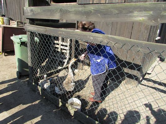 Grafika #43: 08.04.2016 Wycieczka do gospodarstwa rolnego dziadka Zosi