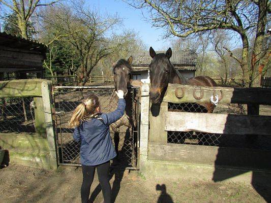 Grafika #47: 08.04.2016 Wycieczka do gospodarstwa rolnego dziadka Zosi