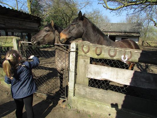 Grafika #48: 08.04.2016 Wycieczka do gospodarstwa rolnego dziadka Zosi