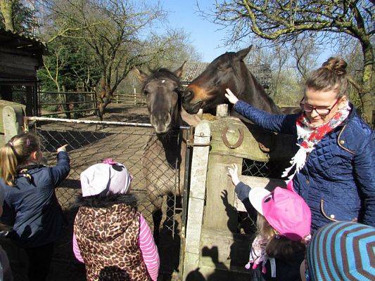 Grafika #49: 08.04.2016 Wycieczka do gospodarstwa rolnego dziadka Zosi