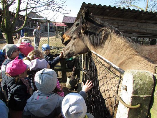 Grafika #50: 08.04.2016 Wycieczka do gospodarstwa rolnego dziadka Zosi