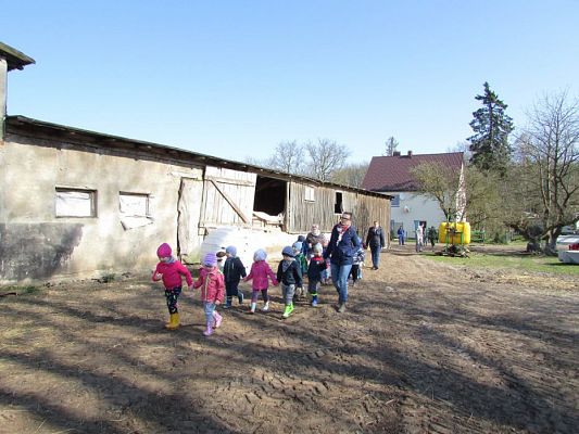 Grafika #57: 08.04.2016 Wycieczka do gospodarstwa rolnego dziadka Zosi