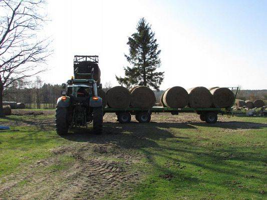 Grafika #63: 08.04.2016 Wycieczka do gospodarstwa rolnego dziadka Zosi