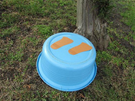 Grafika #3: 23.03.2016 Tropem Wielkanocnego Zajączka