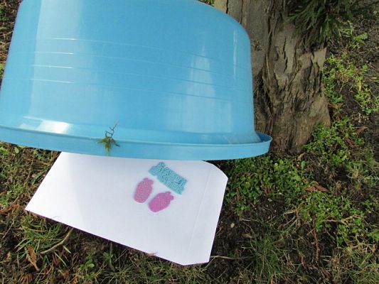 Grafika #4: 23.03.2016 Tropem Wielkanocnego Zajączka