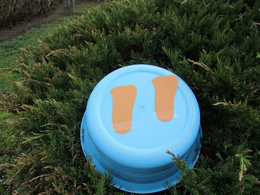 Grafika #6: 23.03.2016 Tropem Wielkanocnego Zajączka