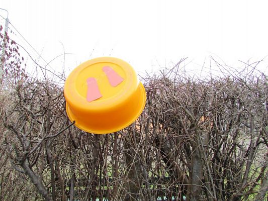 Grafika #7: 23.03.2016 Tropem Wielkanocnego Zajączka