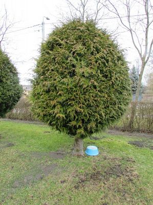 Grafika #9: 23.03.2016 Tropem Wielkanocnego Zajączka